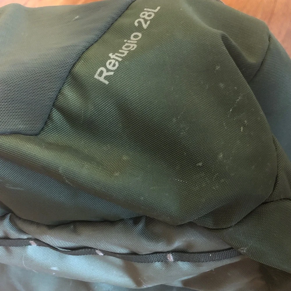 Patagonia durable green